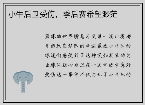 小牛后卫受伤，季后赛希望渺茫